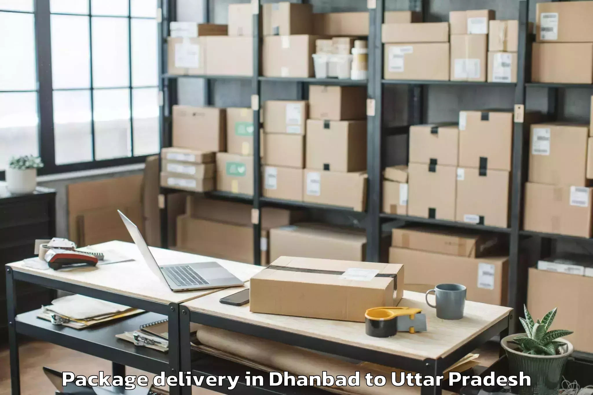 Quality Dhanbad to Konch Package Delivery